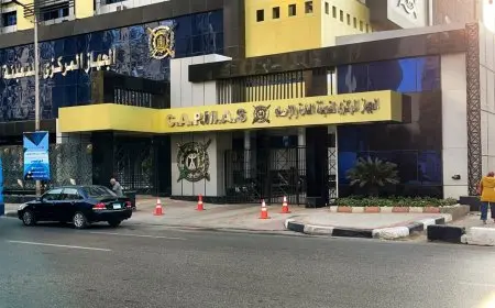 الإحصاءات تشير إلى أن 620 ألف شخص سيتوظفون في القطاع العام والأعمال العام بحلول عام 2024