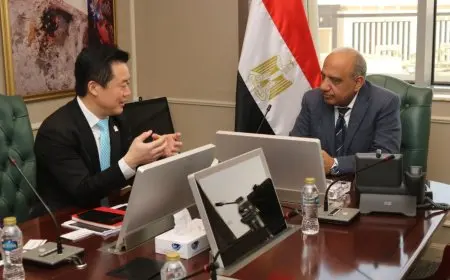 وزير الكهرباء يناقش مع شركة هواوي الصينية سبل تعزيز التعاون في مجالات الطاقة المتجددة