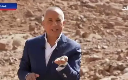 أحمد موسى: الدولة تحافظ على كل أثر أثناء تنفيذ مشروع التجلي الأعظم