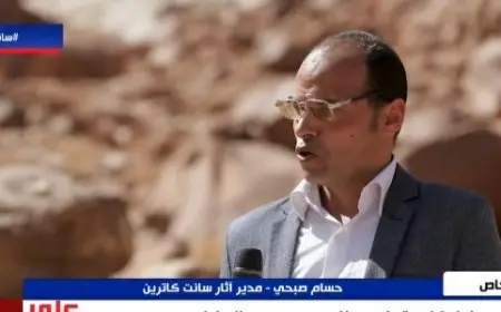 شجرة العليقة المقدسة.. عالم آثار يكشف عن سر وجودها منذ 3300 عام في سانت كاترين