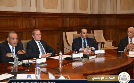 وزير الخارجية ووزير الشئون النيابية يشاركان في اجتماع لجنة حقوق الإنسان بمجلس الشيوخ