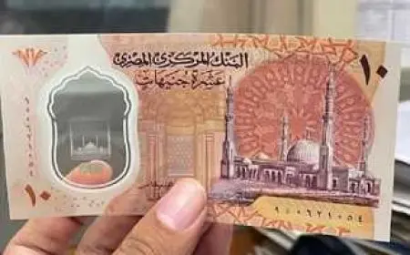 الحكومة توضح حقيقة إيقاف طباعة العملات البلاستيكية فئة 10 و20 جنيهًا