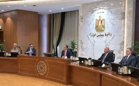 الحكومة تعتمد اللائحة التنفيذية لقانون اقتناء الحيوانات الخطرة والكلاب.. تعرف على الشروط