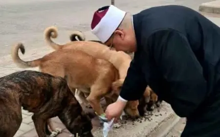 أول تصريح لصاحب تريند إطعام الكلب: الرحمة بالحيوانات توازي العبادة