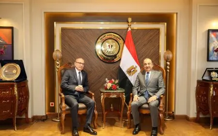 وزير قطاع الأعمال: شركاتنا تملك فرصًا واعدة ونتطلع إلى شراكات واستثمارات مع تركيا