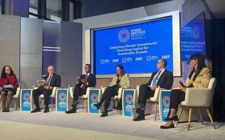 المشاط: 4 مليارات دولار تمويلات ميسرة للقطاع الخاص في إطار برنامج «نُوفّي»