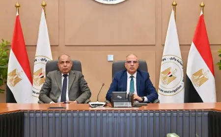 وزيرة التخطيط: القيادة السياسية تولي اهتماماً كبيراً بتقليل تكلفة الاستثمار للقطاع الخاص