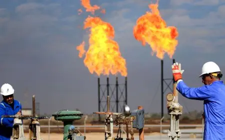 حجم الاستثمارات الكويتية في مصر يتجاوز 20 مليار دولار.. تفاصيل من رئاسة الجمهورية