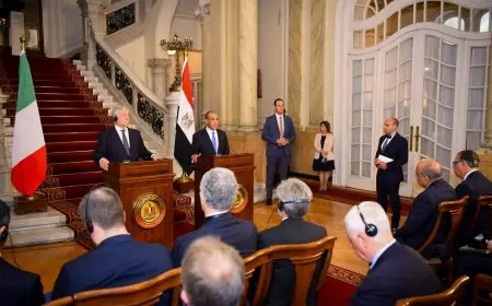 وزيرا خارجية مصر وإيطاليا يعقدان مشاورات سياسية في القاهرة