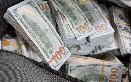 ضبط قضايا اتجار بالنقد الأجنبي بقيمة 17 مليون جنيه