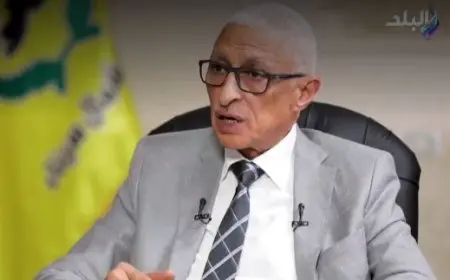 بالأرقام.. محافظ شمال سيناء يعرض جهود الدولة في دعم أهالي قطاع غزة