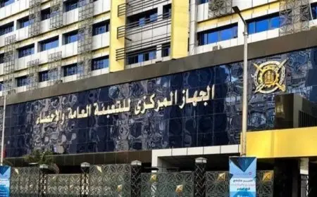 الإحصاء: ارتفاع بنسبة 42.8% في عدد العلامات التجارية الممنوحة في مصر خلال عام 2024