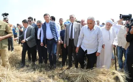 وزير الزراعة يأمر بتقليل تكاليف معدات حصاد القمح للمزارعين