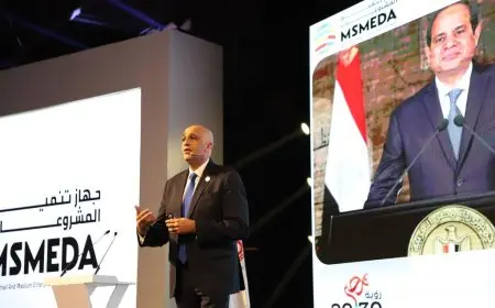 باسل رحمي: استثمار 800 مليون جنيه لتمويل المشروعات الصغيرة في سيناء وتوفير 23 ألف وظيفة