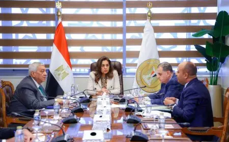 وزيرة التنمية المحلية تراقب تقدم العمل في منظومتي التصالح على مخالفات البناء وترخيص المحال