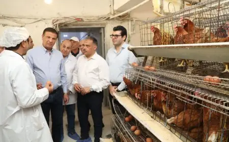 زيارة وزير الزراعة لمزرعة بيض وعسل تضم 20 ألف دجاجة و100 خلية نحل