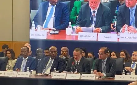 محافظ البنك المركزي المصري يشارك في الاجتماع الثاني لوزراء المالية ومحافظي البنوك المركزي لمجموعة العشرين