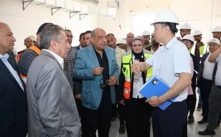 وزير الكهرباء يزور محطة محولات “رشيد 2” ويتابع تقدم تنفيذ أبراج نقل الكهرباء