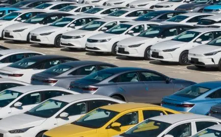 المالية: استئناف خدمات الدعم الفني لتطبيق مبادرة سيارات المصريين بالخارج