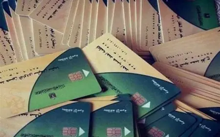 كيفية إضافة المواليد على بطاقات التموين 2025.. التفاصيل كاملة