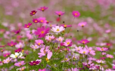 موعد افتتاح حديقة الحيوان بالجيزة.. وزارة الزراعة تكشف التفاصيل