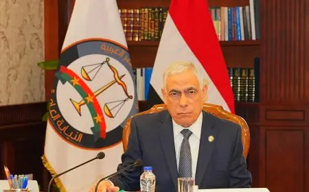 خلال عام.. النائب العام يوجه بإحالة 237 قضية غسل أموال إلى محاكم الجنايات الاقتصادية