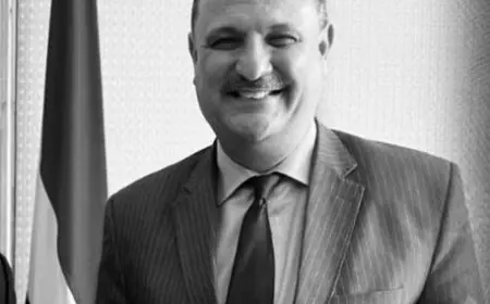 وزارة الخارجية تنعى السفير حازم فهمي، مساعد وزير الخارجية الأسبق