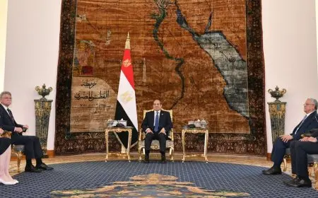 السيسي يستقبل رئيس البرلمان المجري ويؤكد على أهمية الشراكة الإستراتيجية بين البلدين