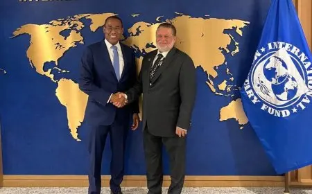 اجتماع محافظ البنك المركزي مع نائب المدير العام لصندوق النقد الدولي