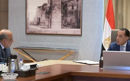 رئيس الوزراء يناقش مع وزير الكهرباء مجموعة من ملفات العمل