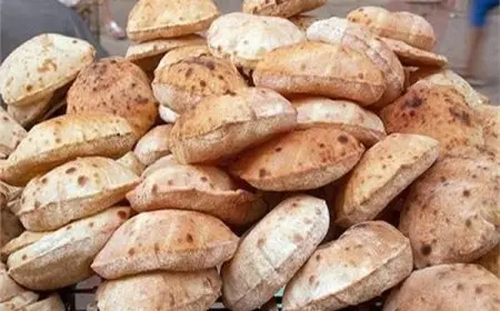 السلع التموينية توضح للنواب حجم دعم الخبز وتبعث برسالة طمأنة حول السكر