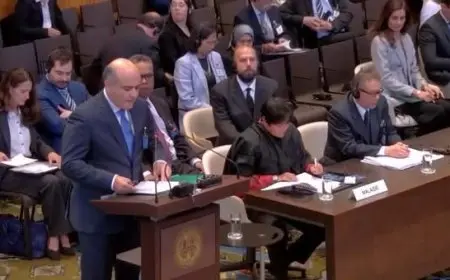 مصر تقدم مرافعة أمام محكمة العدل الدولية بشأن الانتهاكات الإسرائيلية في الأراضي الفلسطينية