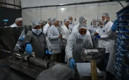 كامل الوزير: منح مصانع الألبان مهلة شهر لتصحيح أوضاعها