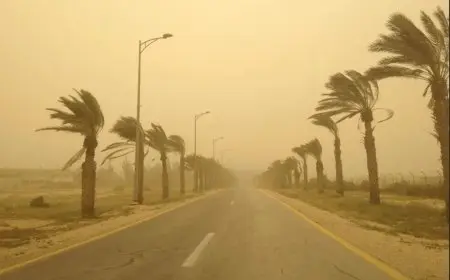 رياح خماسينية وعواصف ترابية.. توقعات الأرصاد لطقس الأسبوع المقبل