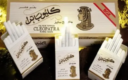 مستقبل أسعار السجائر الشعبية والأجنبية في الأسواق: زيادة أم استقرار؟