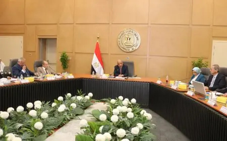 وزير الكهرباء: إعادة هيكلة الشركة المصرية لتصبح مشغلًا مستقلًا لمنظومة نقل الكهرباء وفق معايير اقتصادية وبيئية