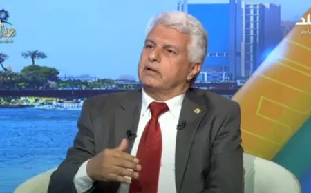 العبور الآمن نحو صيف 2025.. خبير في الطاقة المتجددة يكشف تفاصيل مهمة حول استهلاك الكهرباء