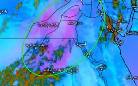 «تراجع الرؤية على الطرق».. الأرصاد تحذر من عاصفة ترابية تؤثر على القاهرة وشمال الصعيد