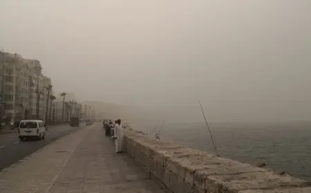 رفع محافظ الإسكندرية درجة الاستعداد القصوى بسبب عدم استقرار الأحوال الجوية