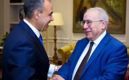 وزير الخارجية: نؤكد دعمنا لوحدة واستقرار السودان ونسعى لوقف إطلاق النار