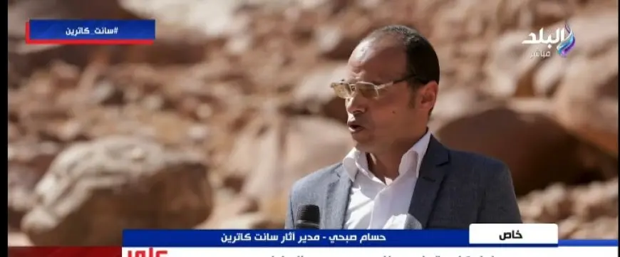 شجرة العليقة المقدسة.. عالم آثار يكشف عن سر وجودها منذ 3300 عام في سانت كاترين