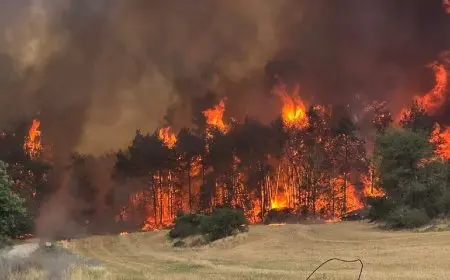 حرائق إسرائيل.. استدعاء الجيش وإعلان حالة الطوارئ في «تل أبيب»