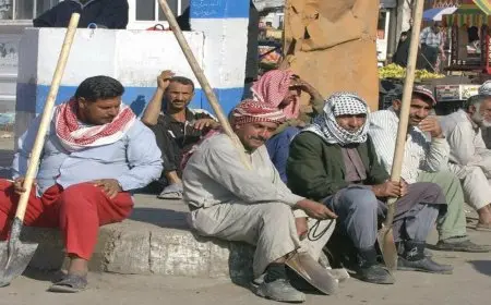 عبد المنعم الجمل: منحة العمالة غير المنتظمة بلغت 1500 جنيه لكل فرد