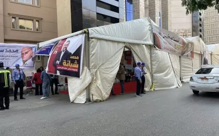 نسبة التصويت تجاوزت 80%.. تفاصيل انتخابات التجديد النصفي للصحفيين