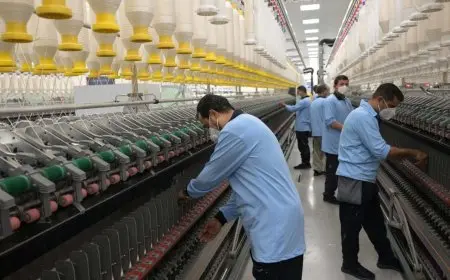 حلم المحلة الكبرى.. حسين عيسى يكشف كيف حولت مصر إجراءات الرسوم الجمركية إلى مكاسب