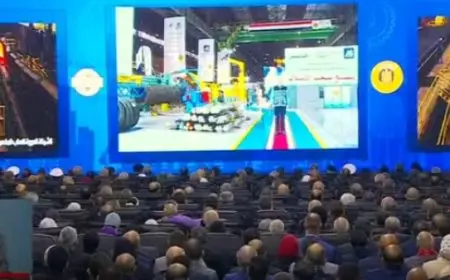 الرئيس السيسي يكرم مجموعة من النماذج المتميزة من عمال مصر