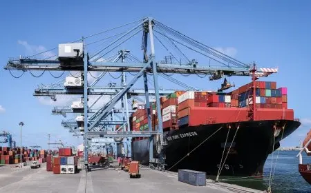 ميناء دمياط يستقبل 32 سفينة في غضون 24 ساعة