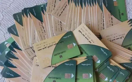 شروط إضافة المواليد على بطاقة التموين من خلال منصة مصر الرقمية 2025