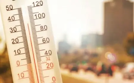 الأرصاد: طقس غدًا مائل للحرارة نهارًا ومعتدل ليلاً في معظم المناطق