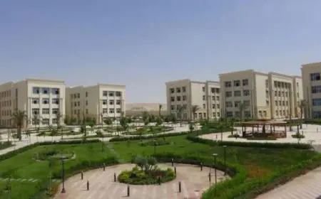 تعيينات جديدة في القيادة الجامعية بقرارات جمهورية.. تفاصيل القرار